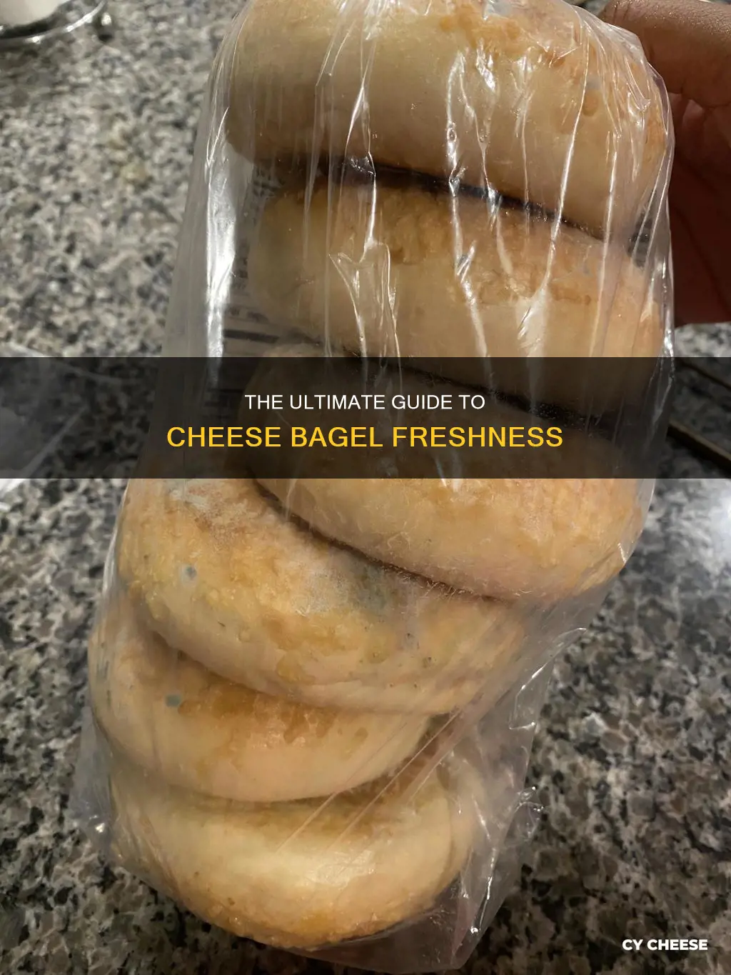 how long do cheese bagles stay frsss