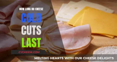 The Lifespan of Cheese Cold Cuts: How Long?