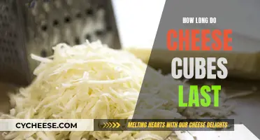 Cheese Cubes: How Long Do They Stay Fresh?