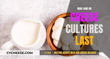 Cheese Cultures: How Long Do They Last?