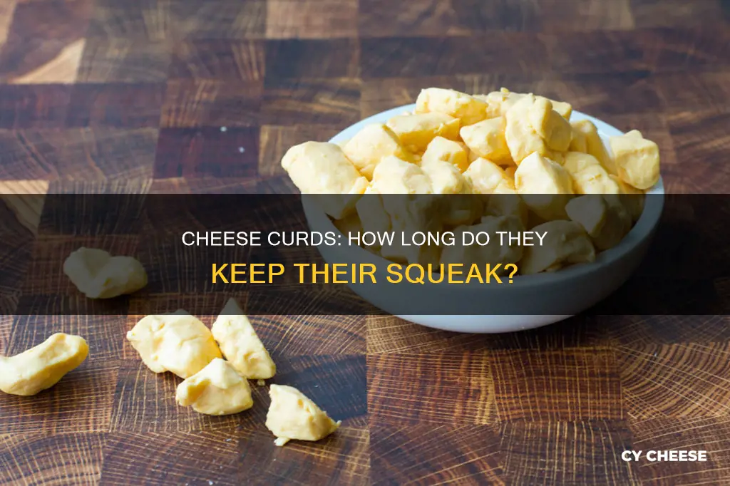 how long do cheese curds last squeak