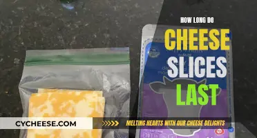 Cheese Slices: How Long Do They Stay Fresh?