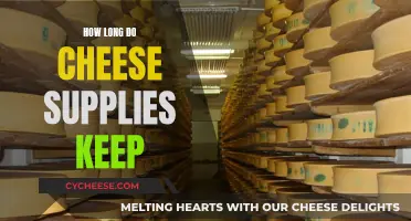 Cheese Storage: How Long Does it Last?