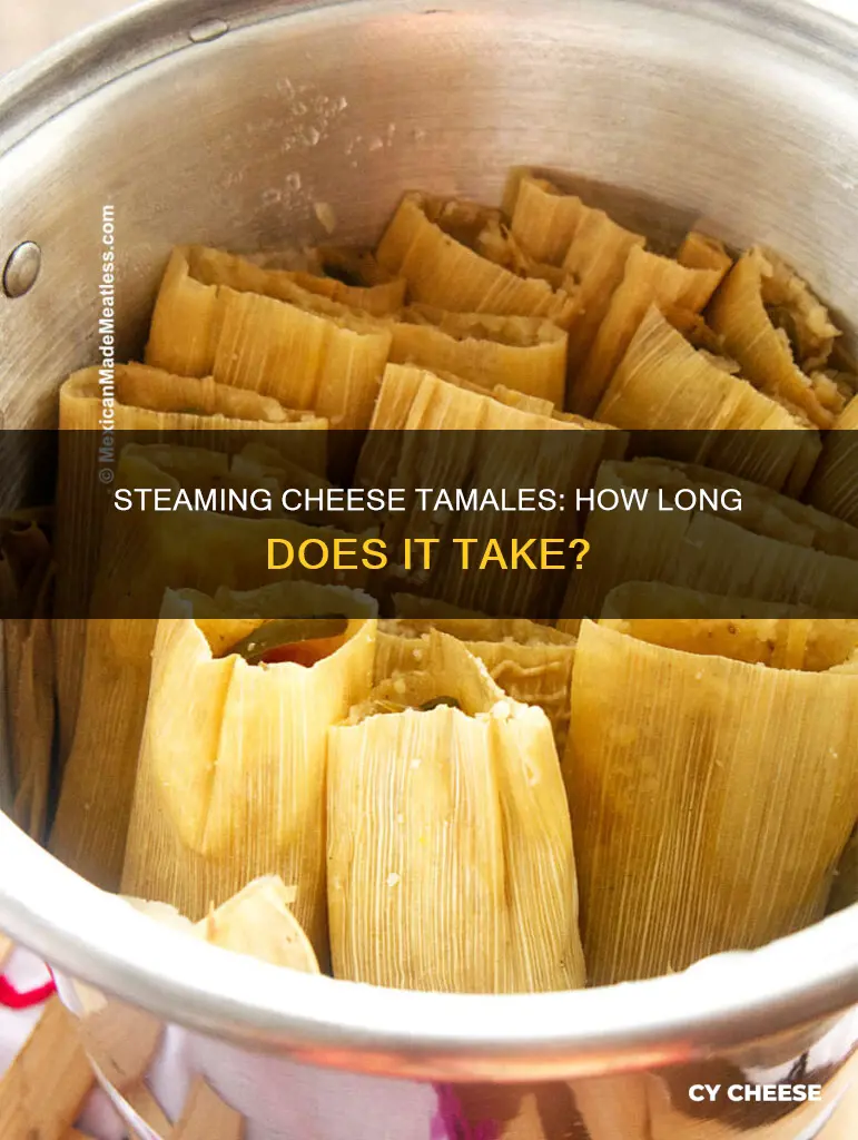 how long do cheese tamales take to cook