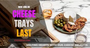 Cheese Trays: How Long Do They Stay Fresh?