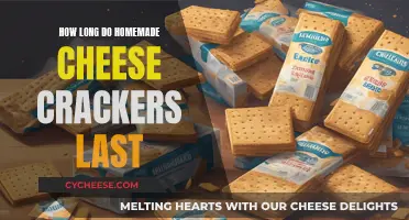 Cheese Crackers: Homemade Snacks with Longevity