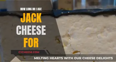 Aging Jack Cheese: How Long to Wait?