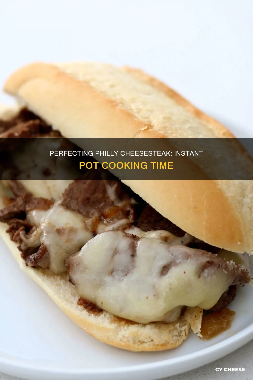 how long do i cook philly cheese steak in instspot