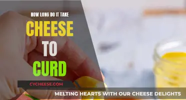 The Art of Curdling Cheese: Timing is Everything