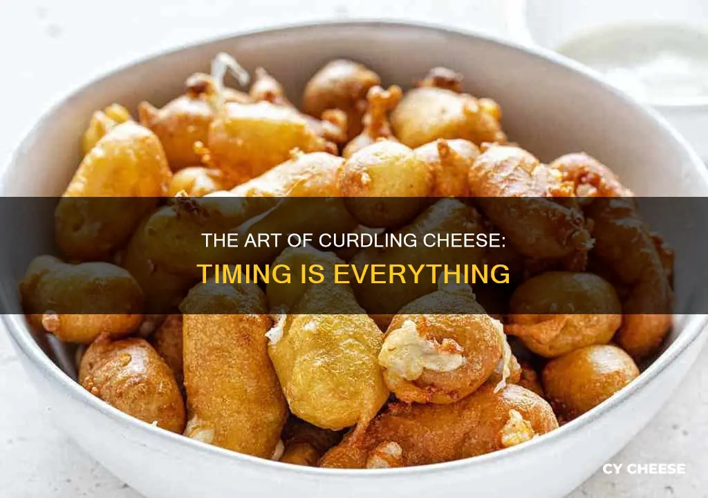 how long do it take cheese to curd