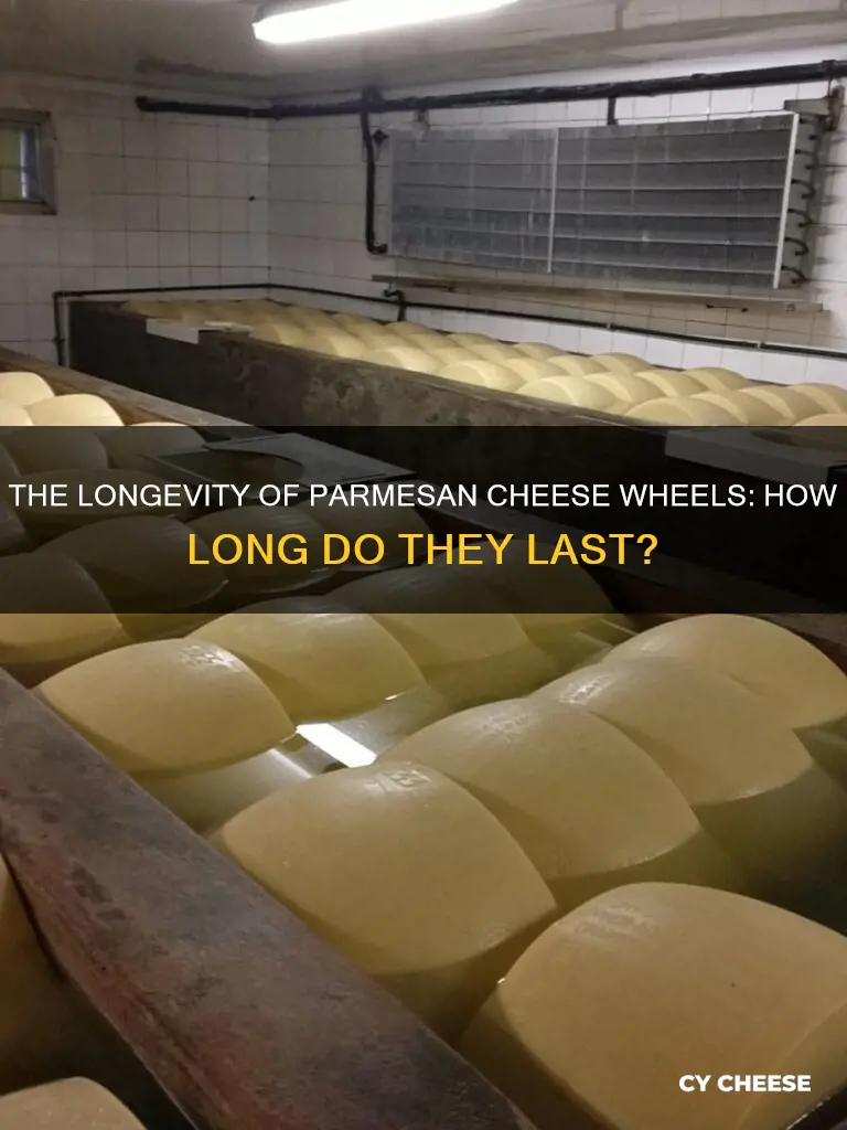 how long do parmesan cheese wheels last