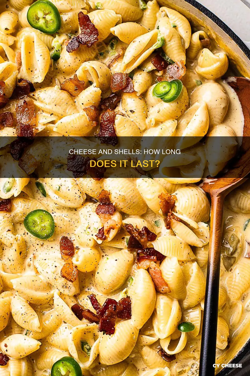 how long do shells and cheese last in fridge