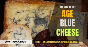 Aging Blue Cheese: How Long Does It Take?