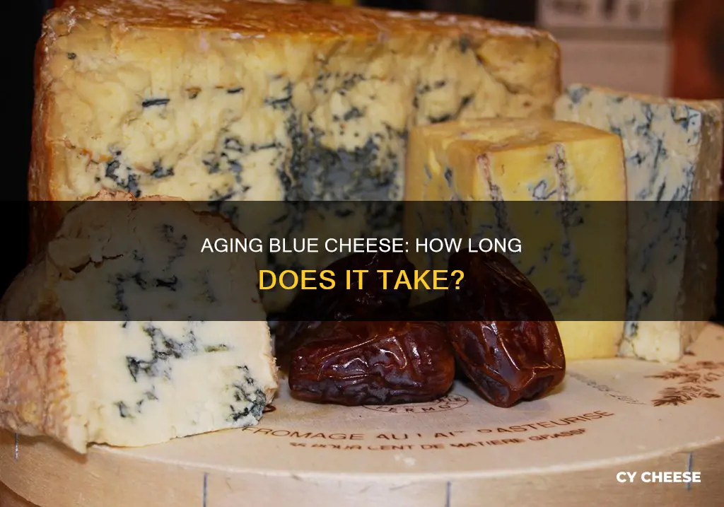 how long do they age blue cheese