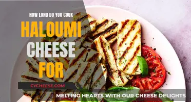 The Perfect Haloumi: Grilling Time and Temperature Guide