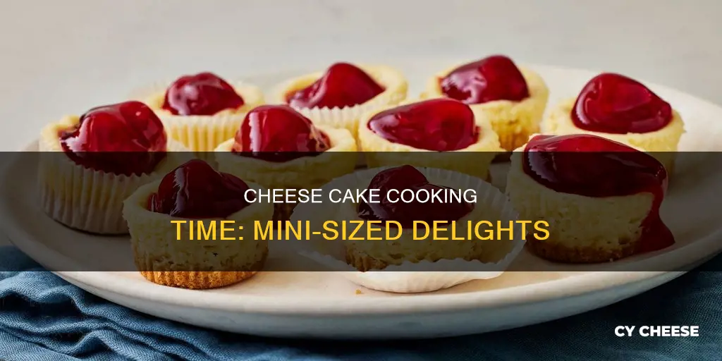 how long do you cook the miniature cheese cakes