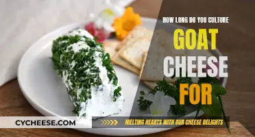 Goat Cheese Culture: How Long Before It's Perfect?