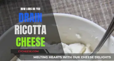 Draining Ricotta Cheese: How Long Should You Drain It?