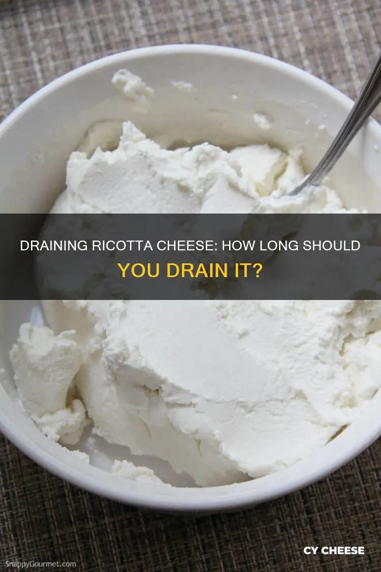 how long do you drain ricotta cheese