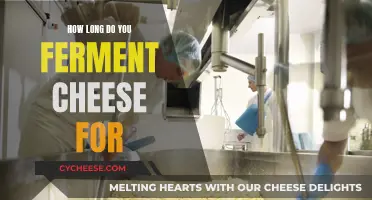 The Art of Fermenting Cheese: Timing for Perfection