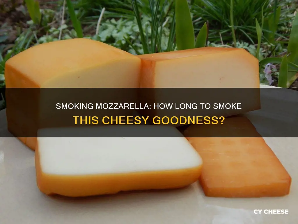 how long do you smoke mozzarella cheese