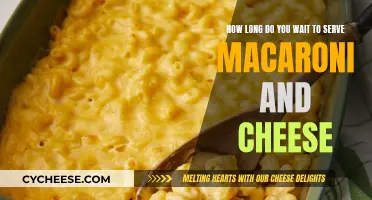 The Perfect Time to Serve Mac and Cheese