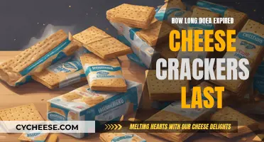 Cheese Crackers: How Long Do They Really Last?