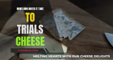 The Art of Aging Cheese: Awaiting Perfection