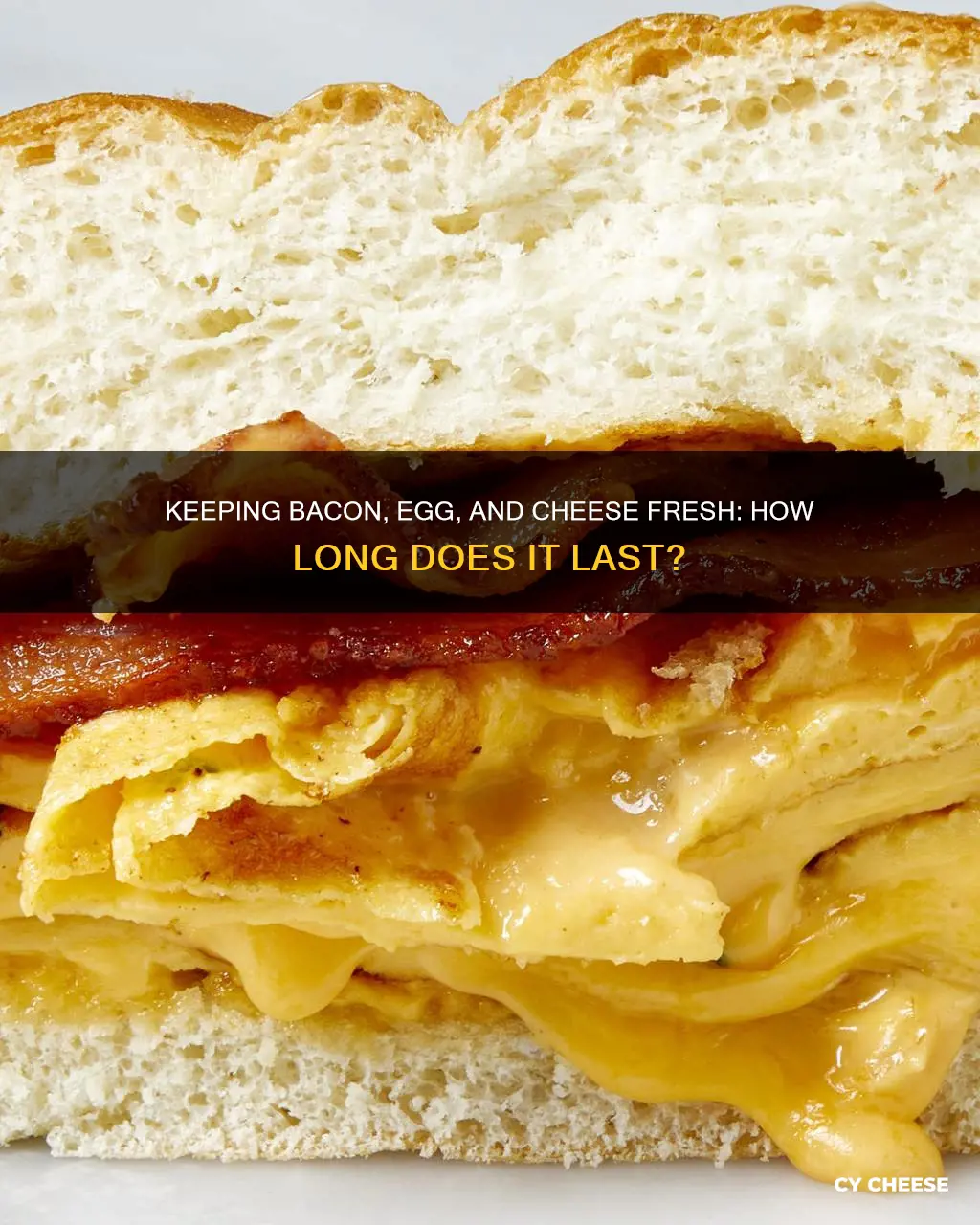 how long does a bacon egg and cheese stay fresh