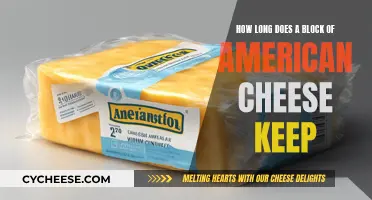 The Longevity of American Cheese Blocks: How Long Do They Last?