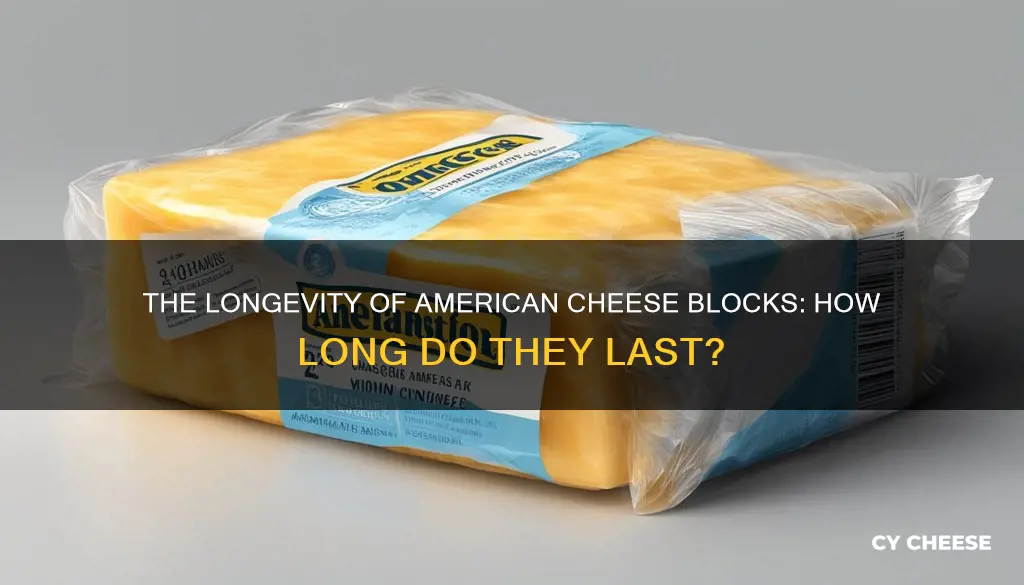 how long does a block of american cheese keep