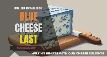 Blue Cheese Blocks: How Long Do They Last?