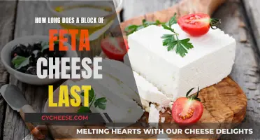 Feta Cheese: How Long Does It Stay Fresh?