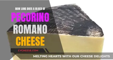 Pecorino Romano Cheese: How Long Does It Last?