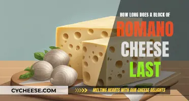 Romano Cheese: How Long Does It Last?