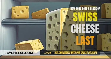 The Lifespan of Swiss Cheese Blocks: All You Need to Know