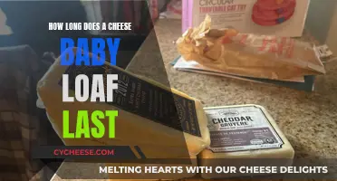 Cheese Baby Loaf: How Long Does Freshness Last?