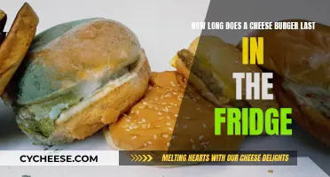 Cheeseburger Lifespan: How Long Does it Last?