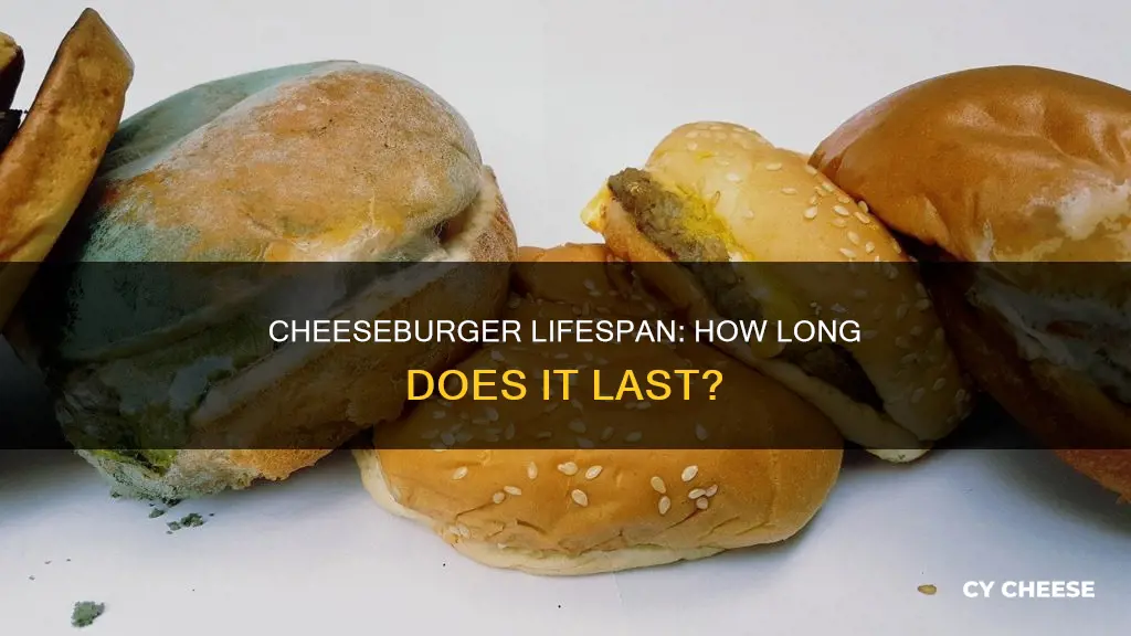 how long does a cheese burger last in the fridge