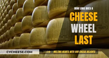 Cheese Wheel Longevity: How Long Does it Actually Last?