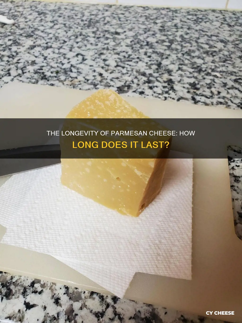 how long does a chunk of parmasion cheese last