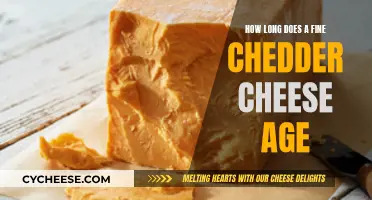 The Aging Art of Fine Cheddar Cheese Perfection