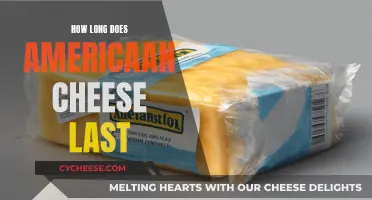 The Lifespan of American Cheese: How Long Does it Last?