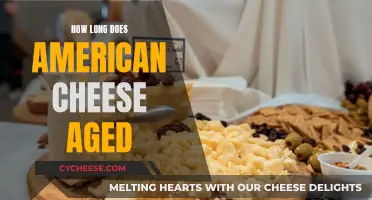 The Aging of American Cheese: How Long Does it Take?