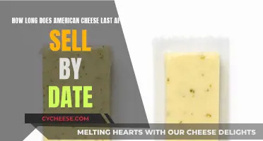 American Cheese: How Long Does it Actually Last?