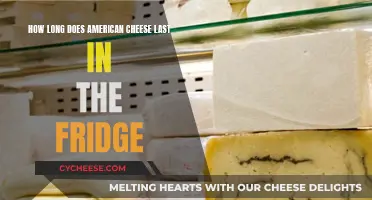 The Lifespan of American Cheese in the Fridge