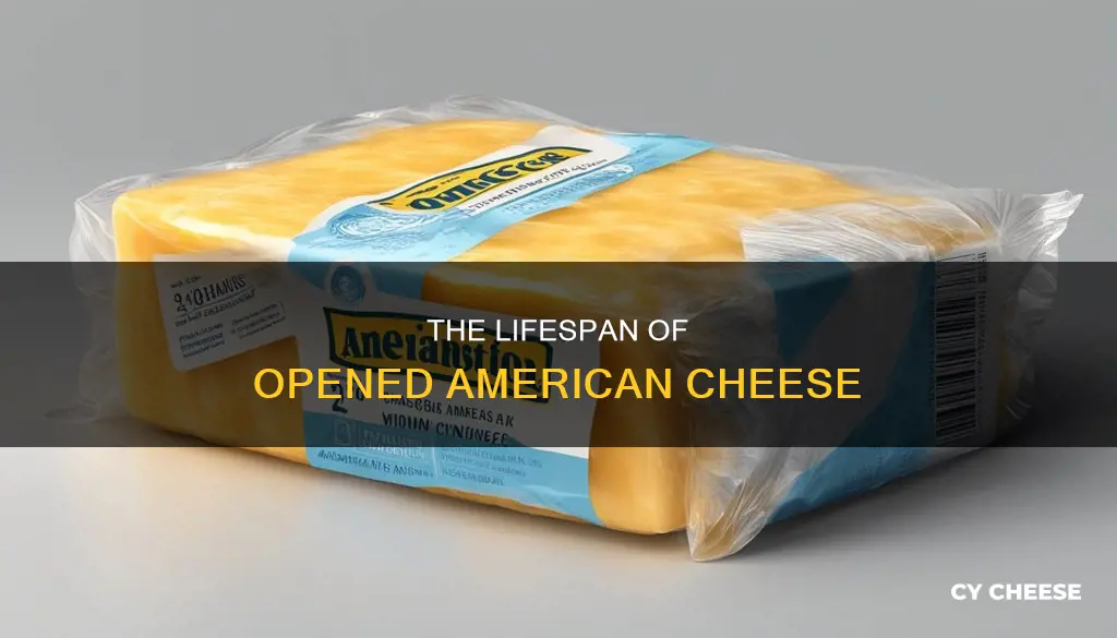 how long does american cheese last opened