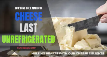 American Cheese: How Long Does It Last Unrefrigerated?