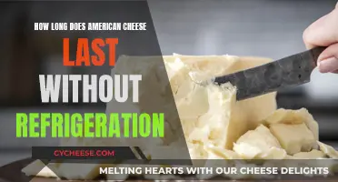 American Cheese: How Long Can It Survive Without Refrigeration?