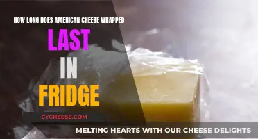 American Cheese: How Long Does it Last in the Fridge?